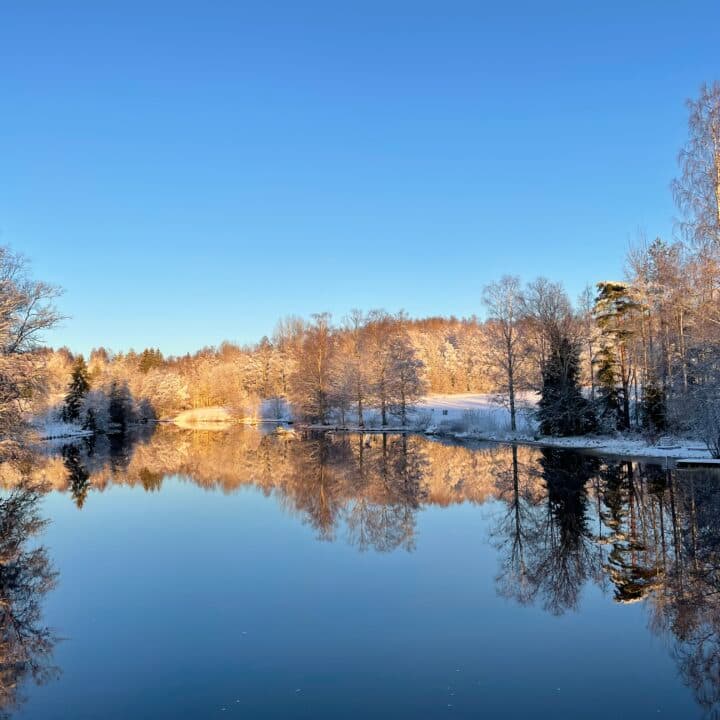 Hedströmmen